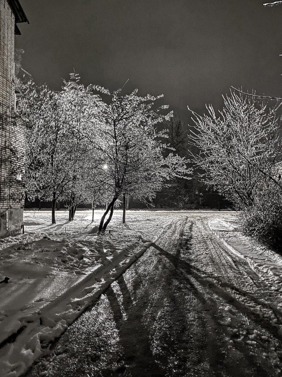 Вы уже успели ощутить на себе негативные последствия ледяного дождя? Но у него есть и обратная сторона, художественная. Всего за несколько часов деревья за окном превратились в «хрустальные». Ветки покрылись удивительным панцирем. Стоит добавить немного воображения, и можно, кажется, услышать, как они звенят.