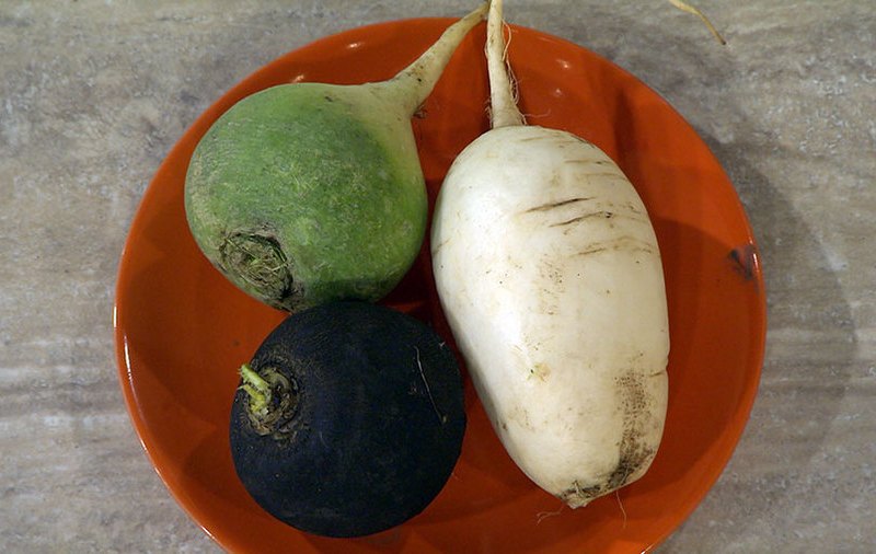 В 80-90-х годах салат «Клязьма» украшал праздничные столы владимирцев наравне с оливье и селёдкой под шубой. Любую хозяйку можно было разбудить ночью, и она четко скажёт, из чего и как готовится это блюдо. Но мало кто из них знал, что первоначально этот салат назывался «Архиерейским». Давайте же вспомним историю и рецепт суздальского салата, популярного у владимирцев в советское время.