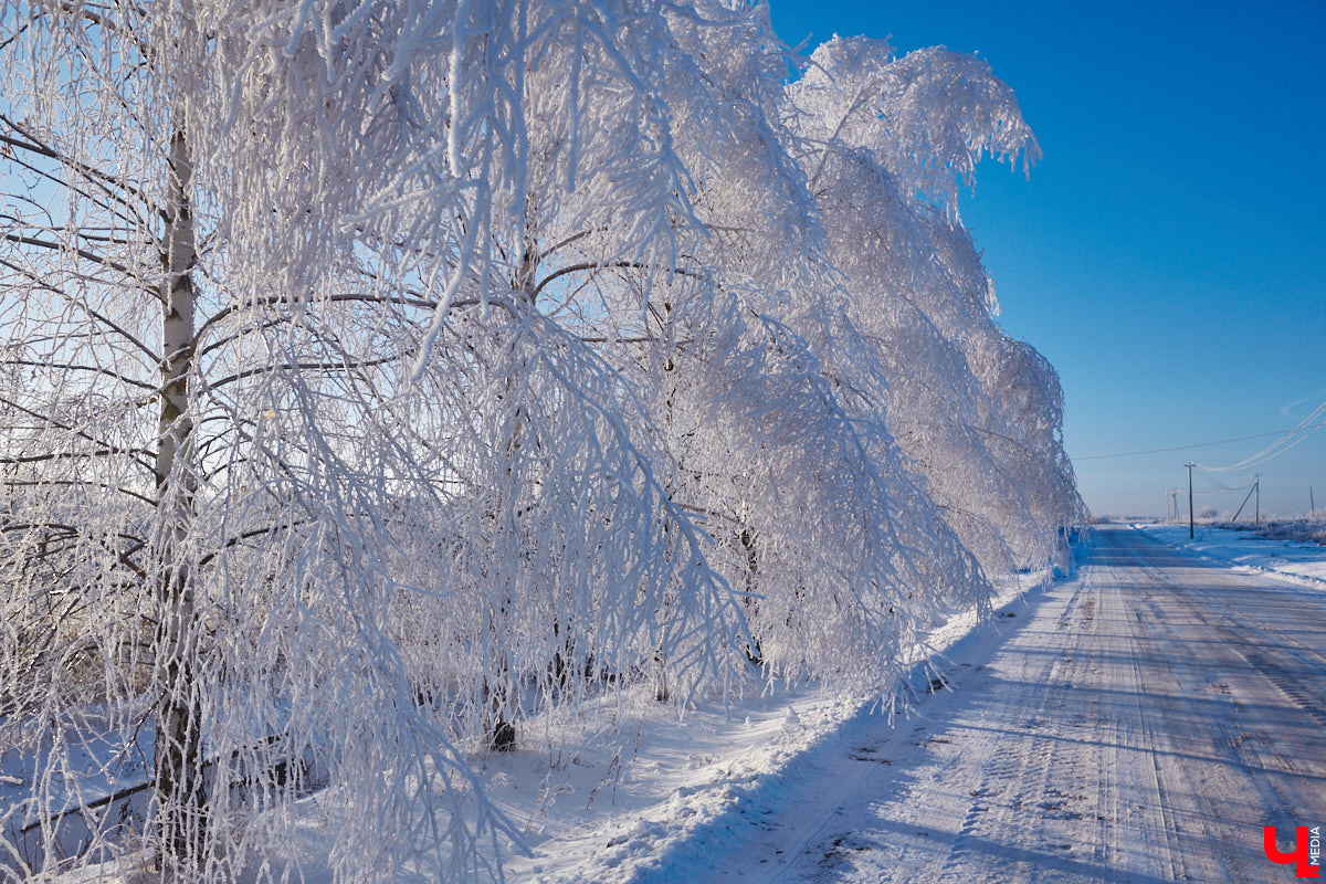 Едва зима успела поморозить владимирцев в начале декабря, словно по графику вступив в свои права, как уже во второй половине текущей недели, по прогнозам синоптиков, погода на территории области изменится к лучшему.