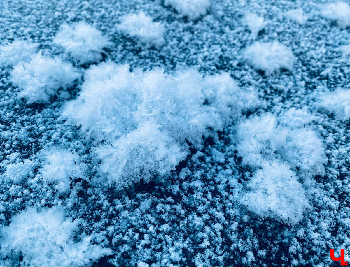 Жители Владимирской области стали свидетелями редкого природного явления. На водоёмах региона распустились «ледяные цветы». «Ключ-Медиа» собрал самые красивые снимки уникального зимнего букета.