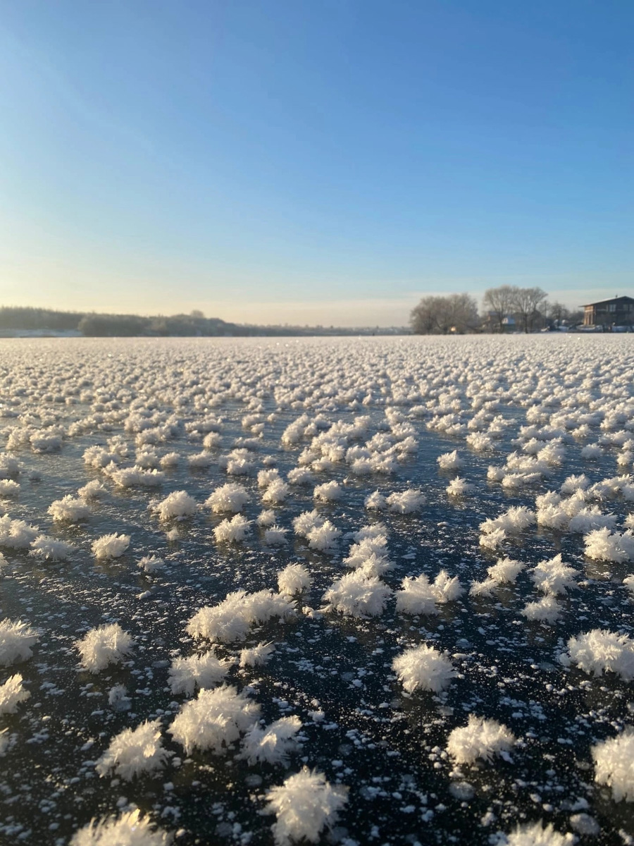 Жители Владимирской области стали свидетелями редкого природного явления. На водоёмах региона распустились «ледяные цветы». «Ключ-Медиа» собрал самые красивые снимки уникального зимнего букета.
