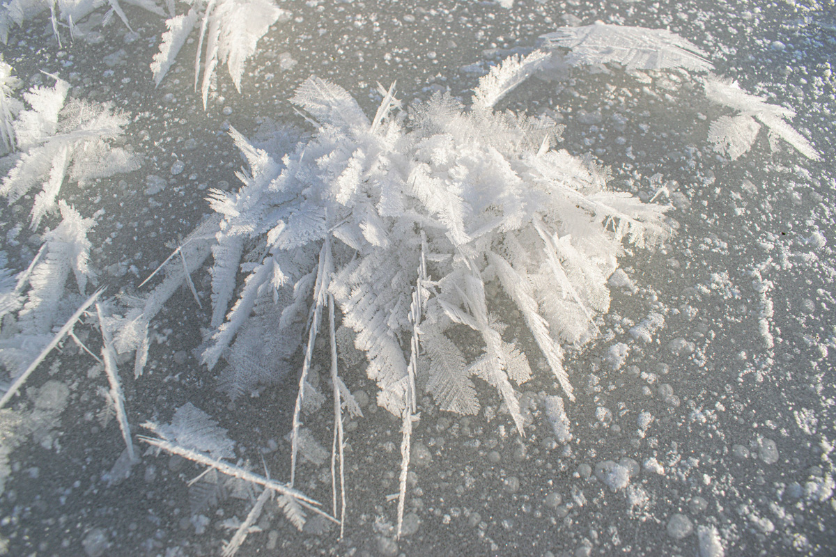 Жители Владимирской области стали свидетелями редкого природного явления. На водоёмах региона распустились «ледяные цветы». «Ключ-Медиа» собрал самые красивые снимки уникального зимнего букета.
