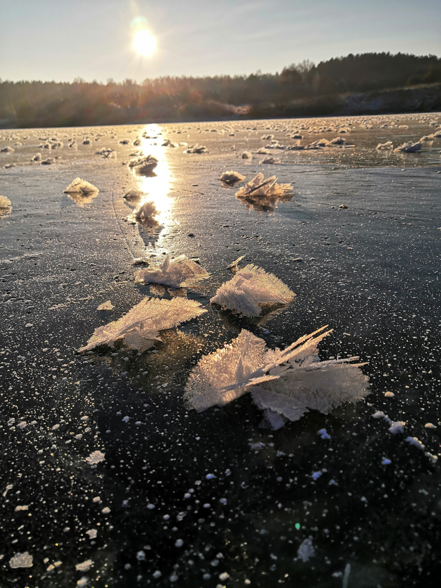 Жители Владимирской области стали свидетелями редкого природного явления. На водоёмах региона распустились «ледяные цветы». «Ключ-Медиа» собрал самые красивые снимки уникального зимнего букета.