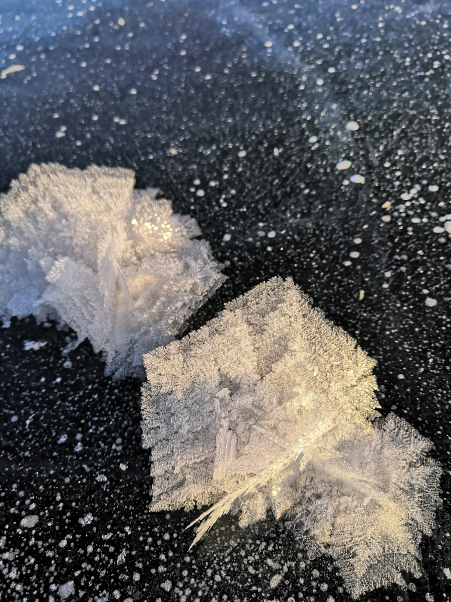 Жители Владимирской области стали свидетелями редкого природного явления. На водоёмах региона распустились «ледяные цветы». «Ключ-Медиа» собрал самые красивые снимки уникального зимнего букета.