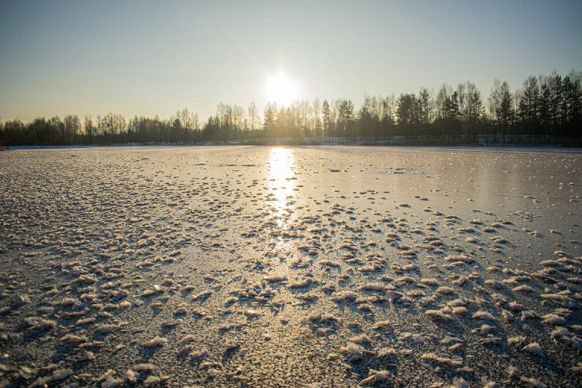 Жители Владимирской области стали свидетелями редкого природного явления. На водоёмах региона распустились «ледяные цветы». «Ключ-Медиа» собрал самые красивые снимки уникального зимнего букета.