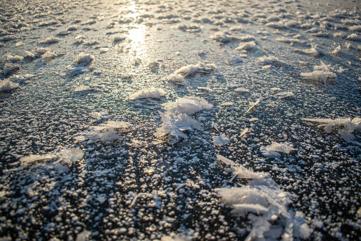 Жители Владимирской области стали свидетелями редкого природного явления. На водоёмах региона распустились «ледяные цветы». «Ключ-Медиа» собрал самые красивые снимки уникального зимнего букета.