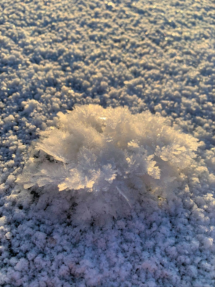 Жители Владимирской области стали свидетелями редкого природного явления. На водоёмах региона распустились «ледяные цветы». «Ключ-Медиа» собрал самые красивые снимки уникального зимнего букета.