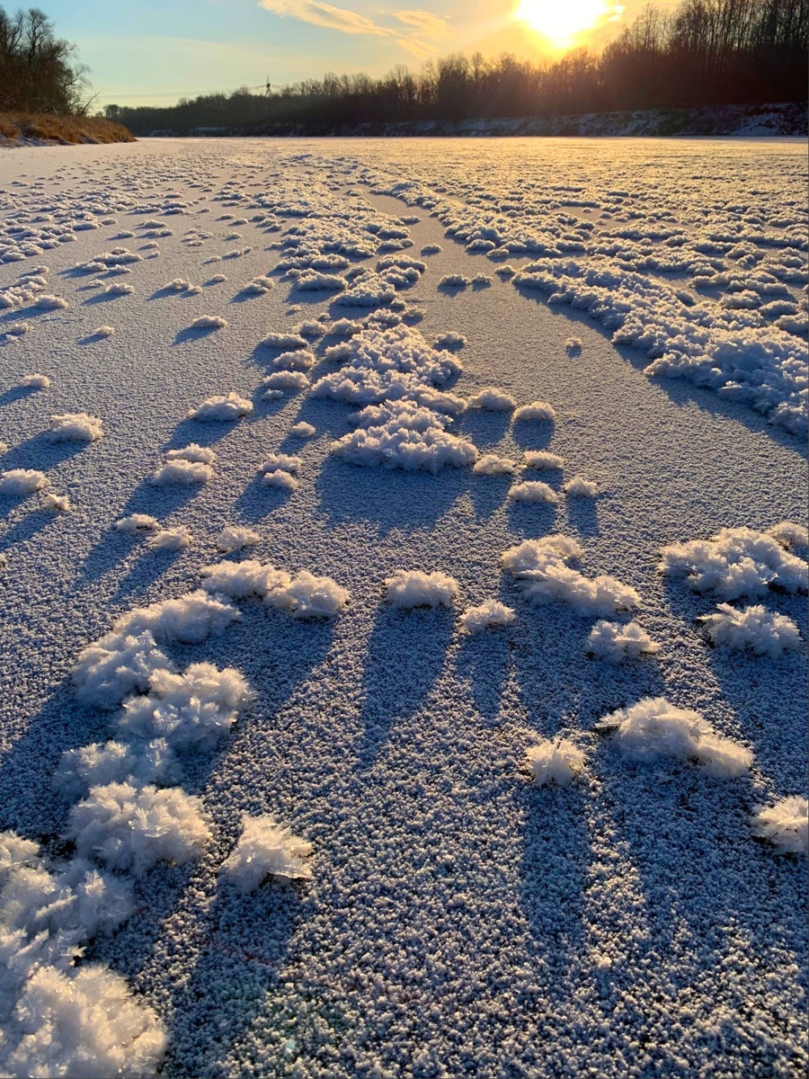 Жители Владимирской области стали свидетелями редкого природного явления. На водоёмах региона распустились «ледяные цветы». «Ключ-Медиа» собрал самые красивые снимки уникального зимнего букета.