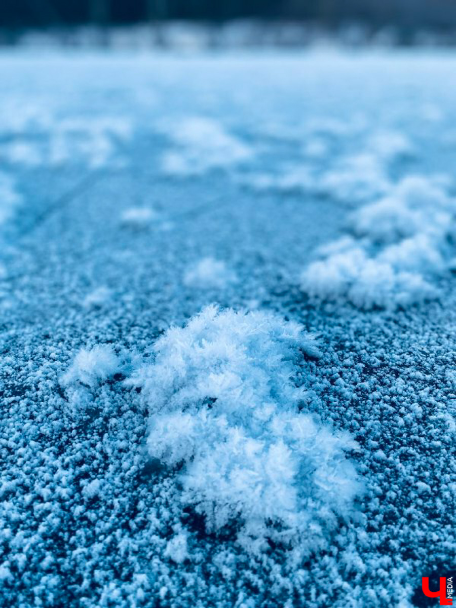 Жители Владимирской области стали свидетелями редкого природного явления. На водоёмах региона распустились «ледяные цветы». «Ключ-Медиа» собрал самые красивые снимки уникального зимнего букета.