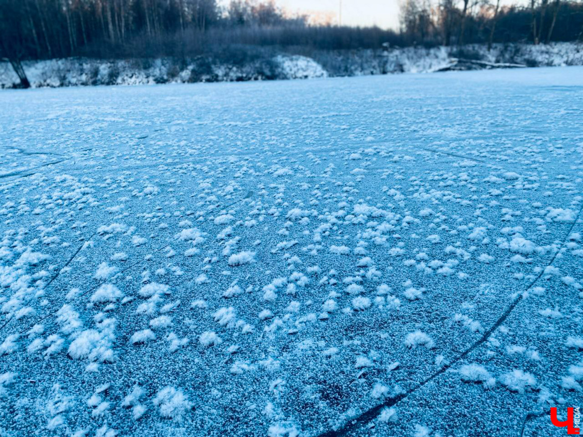 Жители Владимирской области стали свидетелями редкого природного явления. На водоёмах региона распустились «ледяные цветы». «Ключ-Медиа» собрал самые красивые снимки уникального зимнего букета.
