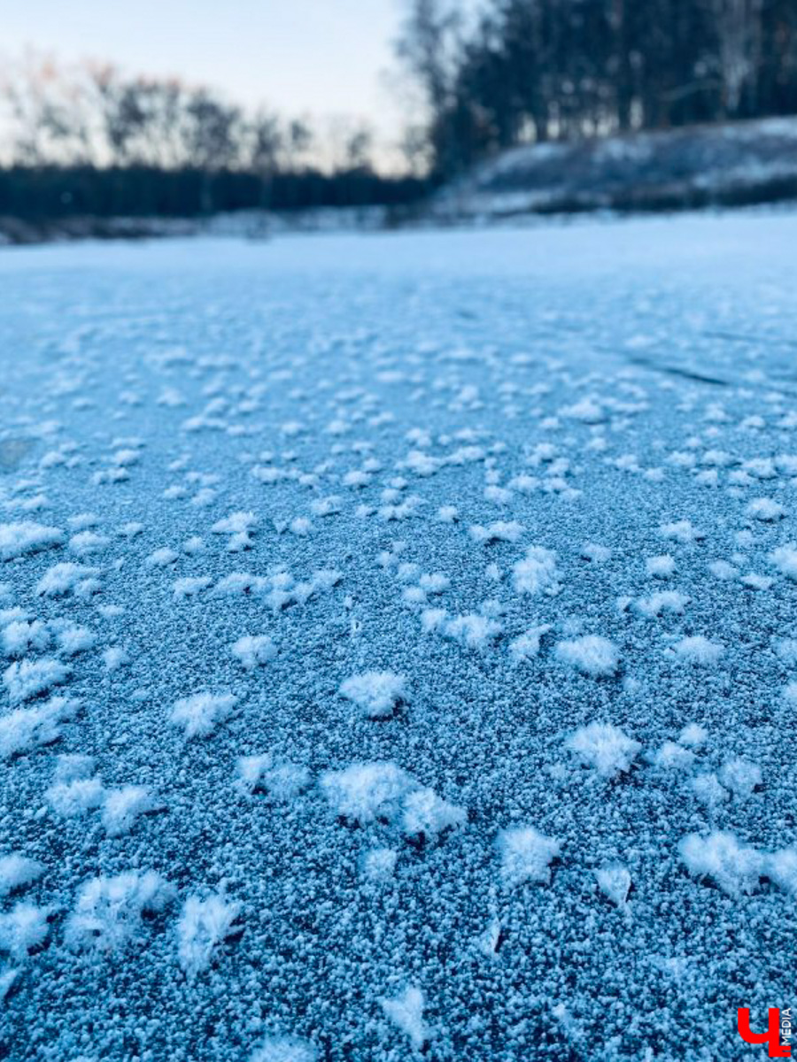 Жители Владимирской области стали свидетелями редкого природного явления. На водоёмах региона распустились «ледяные цветы». «Ключ-Медиа» собрал самые красивые снимки уникального зимнего букета.