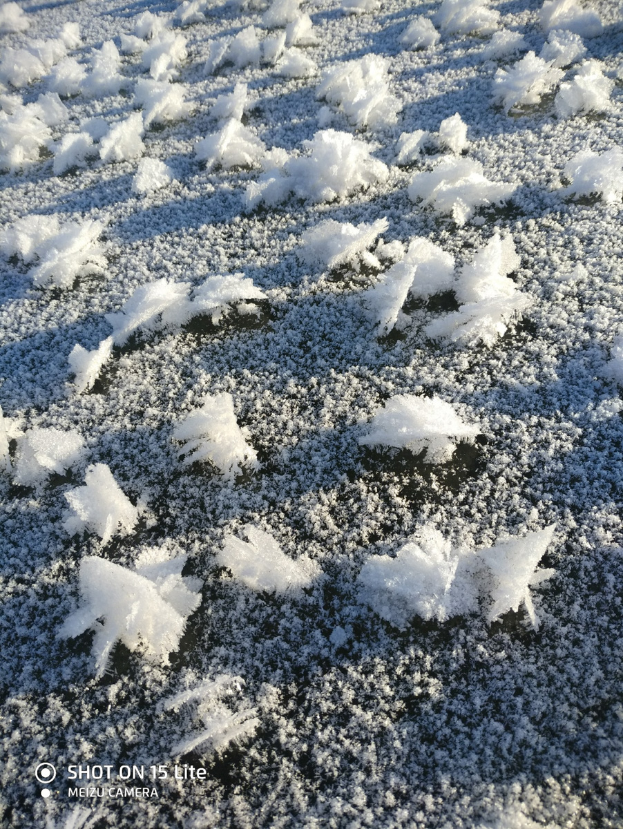 Жители Владимирской области стали свидетелями редкого природного явления. На водоёмах региона распустились «ледяные цветы». «Ключ-Медиа» собрал самые красивые снимки уникального зимнего букета.