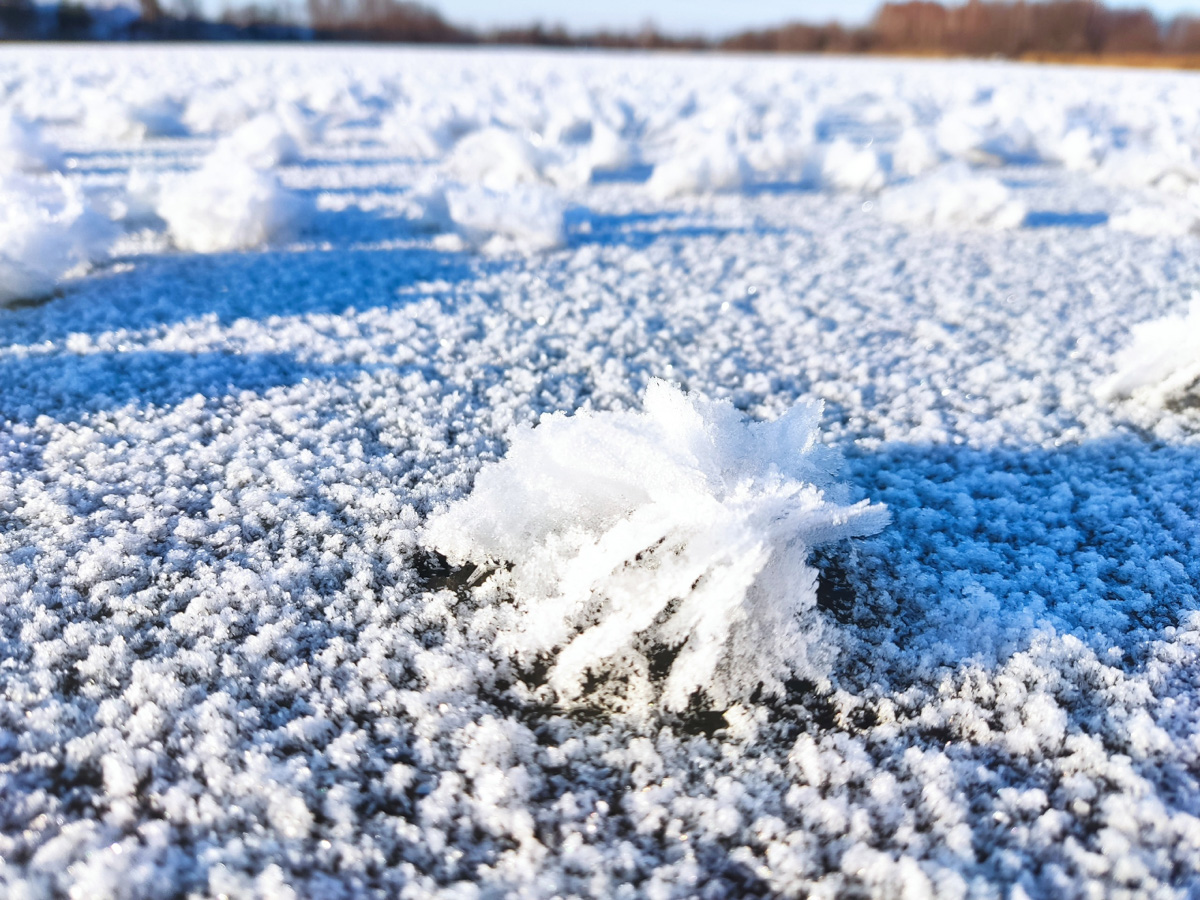 Жители Владимирской области стали свидетелями редкого природного явления. На водоёмах региона распустились «ледяные цветы». «Ключ-Медиа» собрал самые красивые снимки уникального зимнего букета.