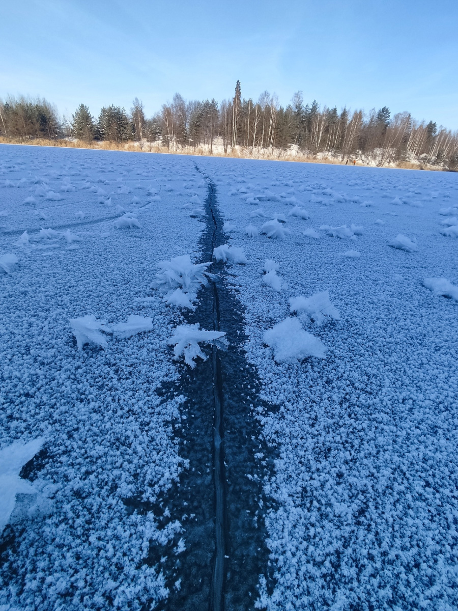 Жители Владимирской области стали свидетелями редкого природного явления. На водоёмах региона распустились «ледяные цветы». «Ключ-Медиа» собрал самые красивые снимки уникального зимнего букета.