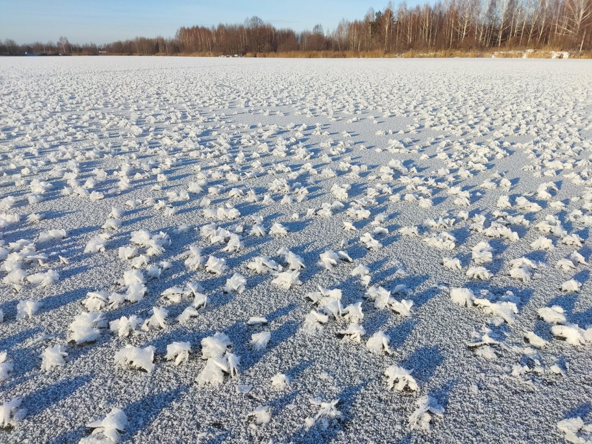 Жители Владимирской области стали свидетелями редкого природного явления. На водоёмах региона распустились «ледяные цветы». «Ключ-Медиа» собрал самые красивые снимки уникального зимнего букета.