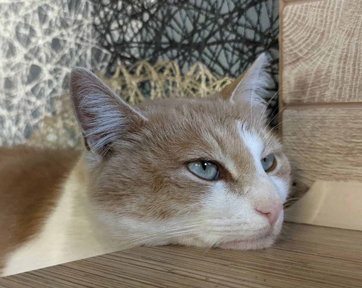 Житель Владимира Алексей Вихорев не просто катается на велосипеде зимой, но и составляет о своих путешествиях фотоотчет. Снимки молодой человек публикует на странице в социальных сетях, и смотреть их всегда интересно!