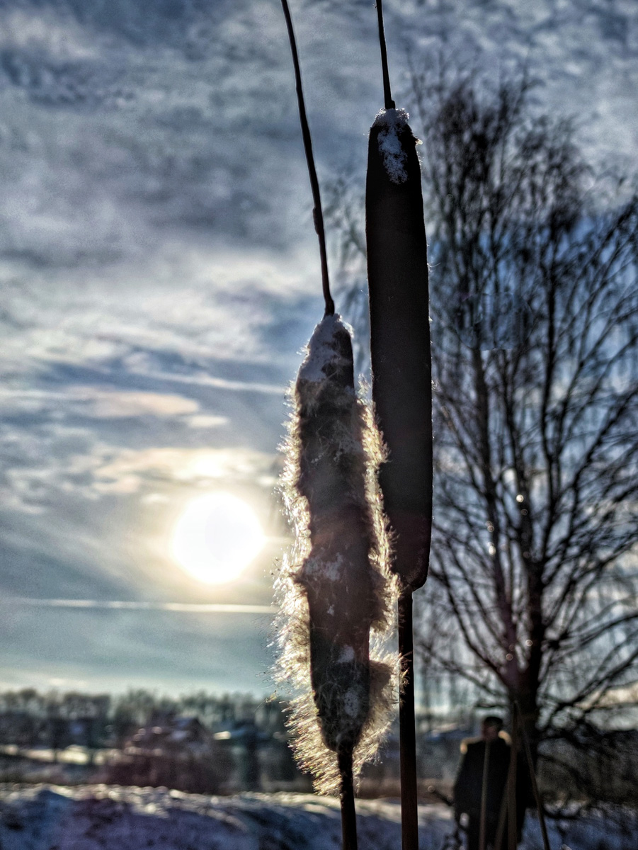 Житель Владимира Алексей Вихорев не просто катается на велосипеде зимой, но и составляет о своих путешествиях фотоотчет. Снимки молодой человек публикует на странице в социальных сетях, и смотреть их всегда интересно!