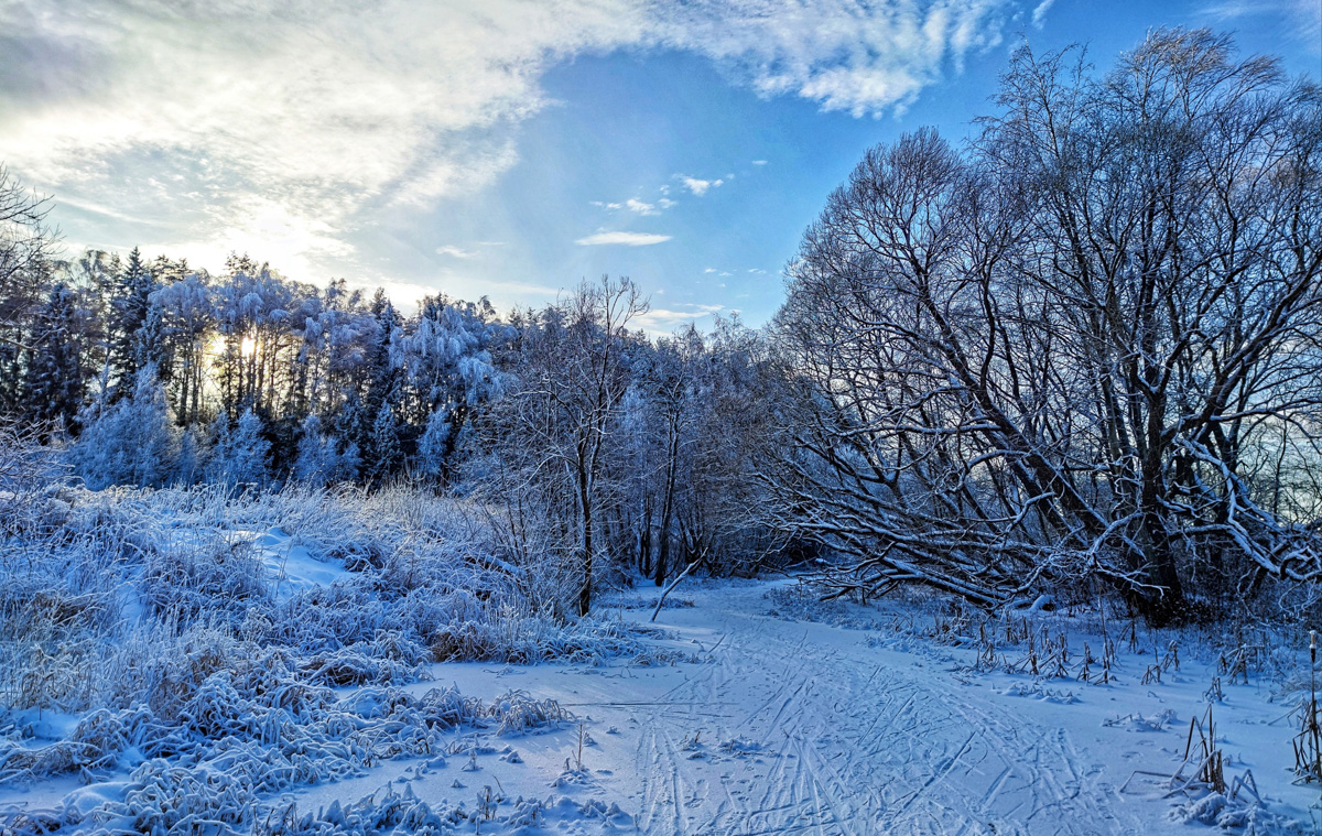 Житель Владимира Алексей Вихорев не просто катается на велосипеде зимой, но и составляет о своих путешествиях фотоотчет. Снимки молодой человек публикует на странице в социальных сетях, и смотреть их всегда интересно!