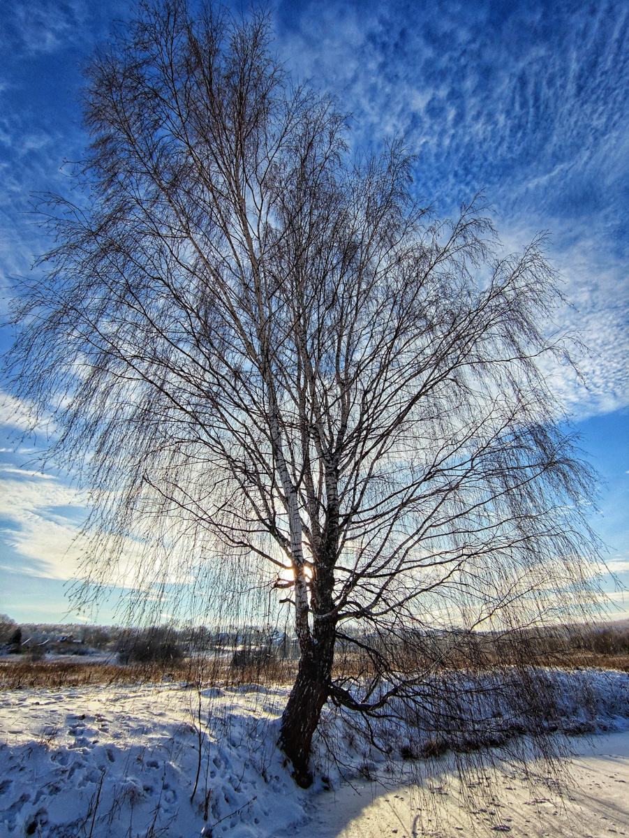 Житель Владимира Алексей Вихорев не просто катается на велосипеде зимой, но и составляет о своих путешествиях фотоотчет. Снимки молодой человек публикует на странице в социальных сетях, и смотреть их всегда интересно!
