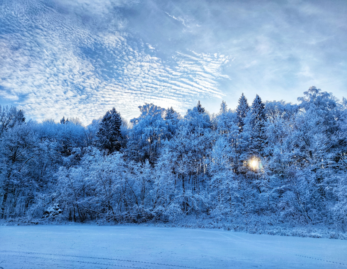 Житель Владимира Алексей Вихорев не просто катается на велосипеде зимой, но и составляет о своих путешествиях фотоотчет. Снимки молодой человек публикует на странице в социальных сетях, и смотреть их всегда интересно!