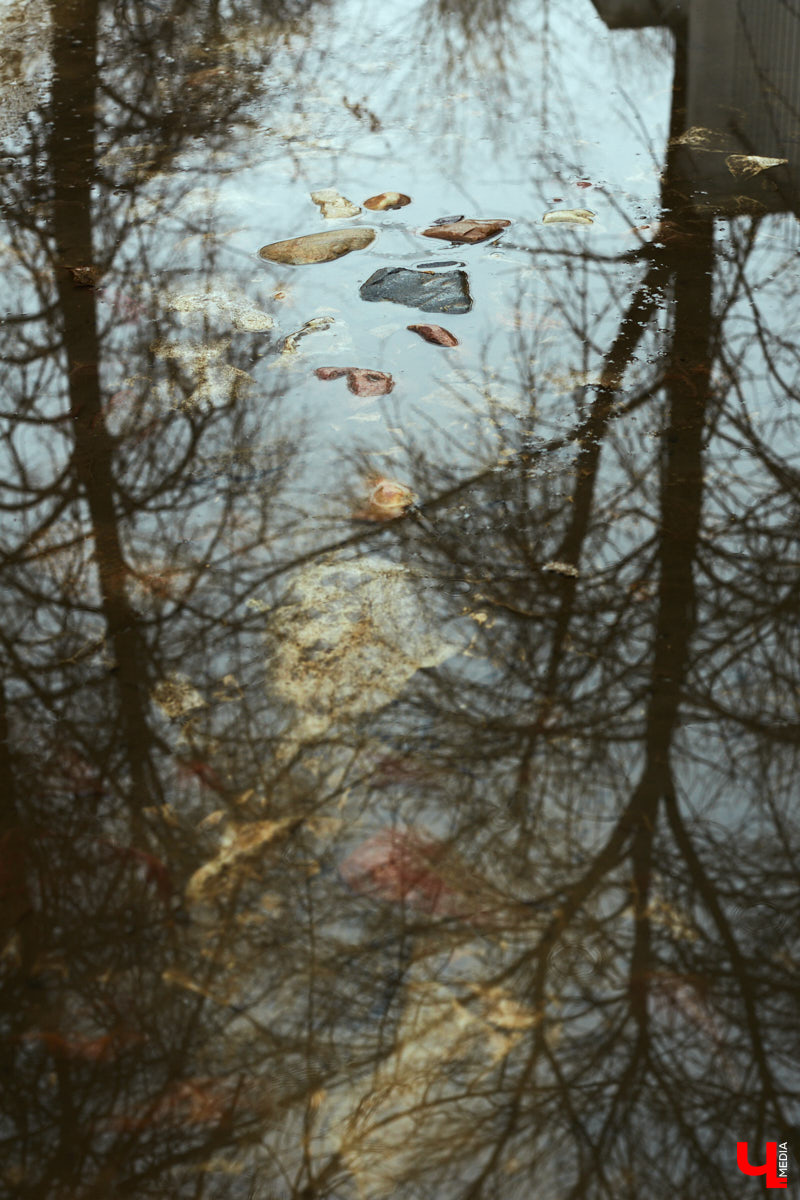 Зима продолжает испытывать владимирцев на прочность: за последние две недели мы уже повидали и настоящие русские морозы, и мощные снегопады. Настало время для дождя.