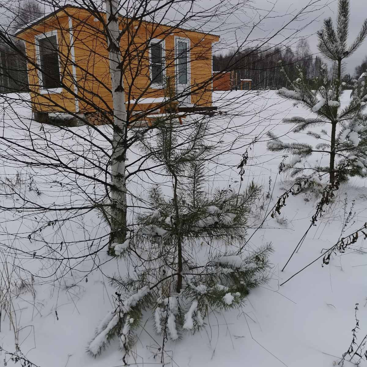 До Нового года рукой подать. Улицы Владимира уже успели украсить к празднику. Да и сами жители города не отстают. В окнах горят огоньки, а в домах и квартирах наряжают елки. Вот только не все они привычного вида. Самые необычные попали в наш сегодняшний обзор.