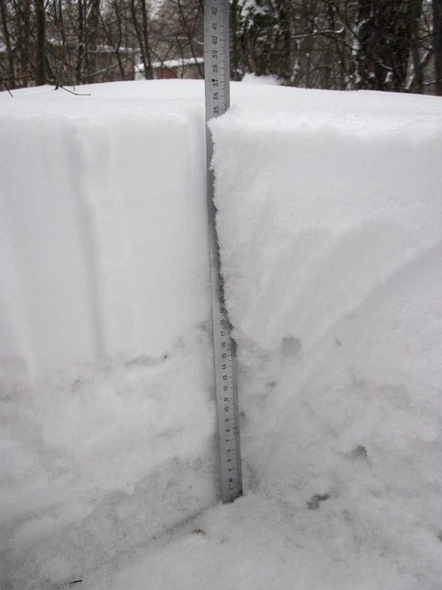 На 33-й регион обрушился рекордный снегопад. Уже к вечеру высота сугробов может достичь 40 сантиметров. И этот показатель обычно характерен для последнего месяца зимы. Чтобы выехать со двора, тысячи человек по всей области взялись за лопаты.