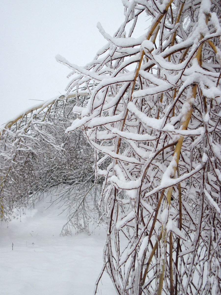 На 33-й регион обрушился рекордный снегопад. Уже к вечеру высота сугробов может достичь 40 сантиметров. И этот показатель обычно характерен для последнего месяца зимы. Чтобы выехать со двора, тысячи человек по всей области взялись за лопаты.