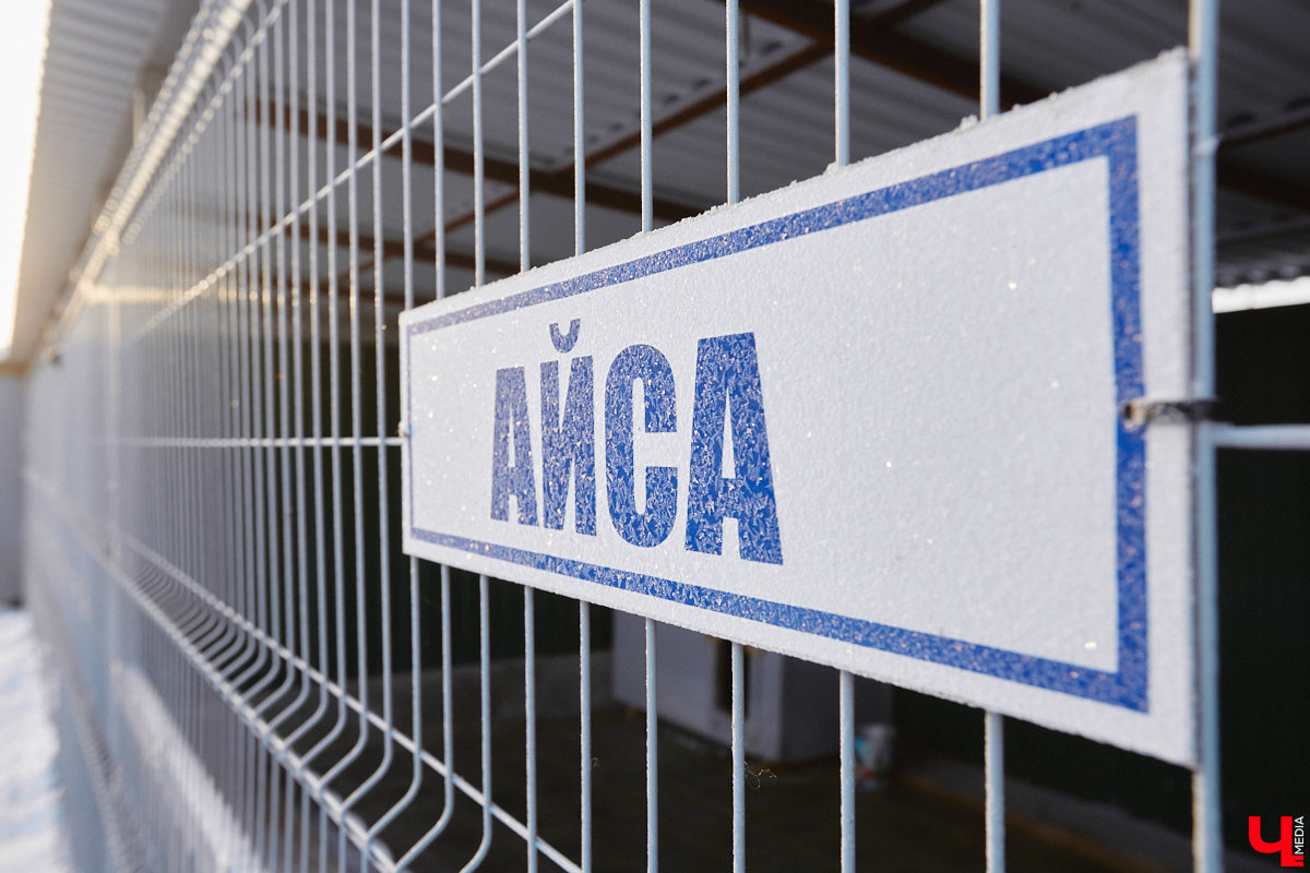 Неподалеку от Владимира есть уникальный питомник хаски. Собаки этой породы готовы подарить любовь даже незнакомому человеку. Тепло от четвероногих друзей передается, кажется, даже через фотографии. Смотрим и заряжаемся отличным настроением!