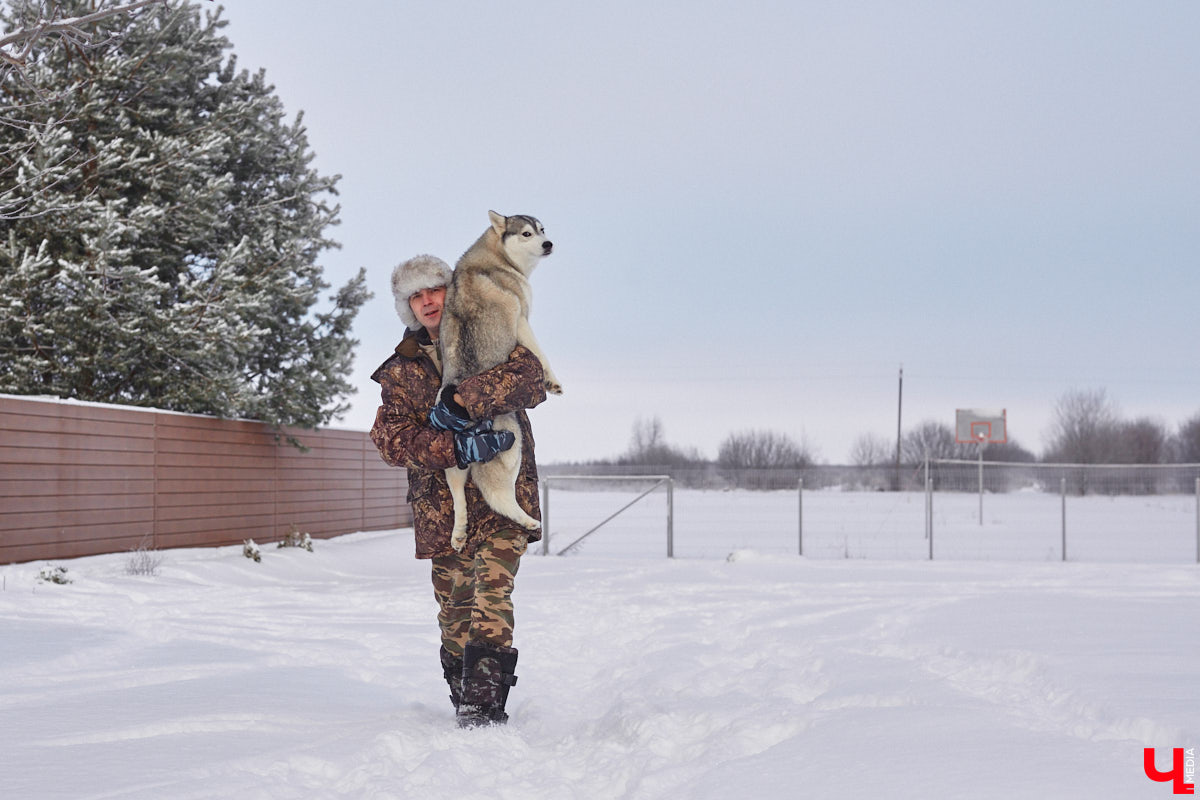 Неподалеку от Владимира есть уникальный питомник хаски. Собаки этой породы готовы подарить любовь даже незнакомому человеку. Тепло от четвероногих друзей передается, кажется, даже через фотографии. Смотрим и заряжаемся отличным настроением!