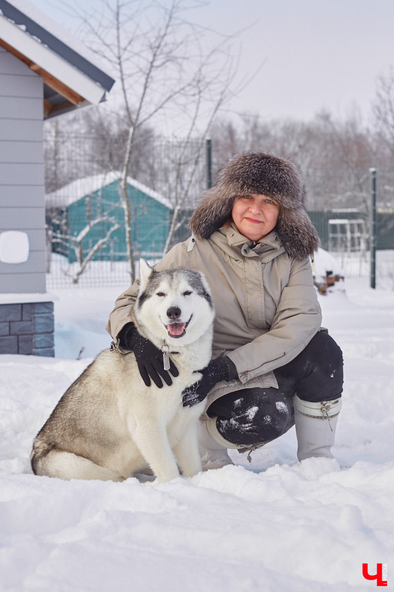 Неподалеку от Владимира есть уникальный питомник хаски. Собаки этой породы готовы подарить любовь даже незнакомому человеку. Тепло от четвероногих друзей передается, кажется, даже через фотографии. Смотрим и заряжаемся отличным настроением!