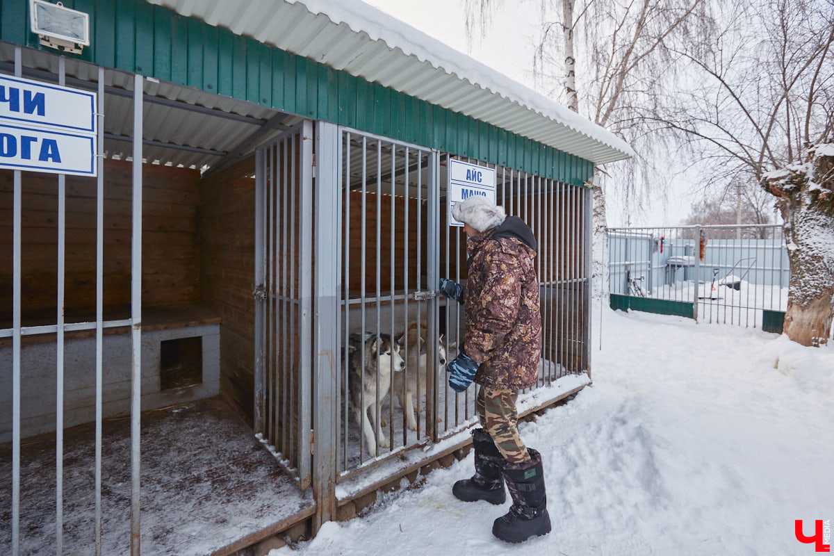Неподалеку от Владимира есть уникальный питомник хаски. Собаки этой породы готовы подарить любовь даже незнакомому человеку. Тепло от четвероногих друзей передается, кажется, даже через фотографии. Смотрим и заряжаемся отличным настроением!