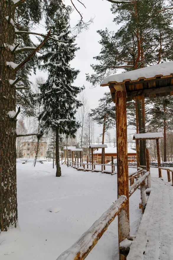 После Типографского моста – самой большой пешеходной переправы из дерева, прославившей Киржач на всю страну, жителям города предложили прогуляться по «сладкой» конструкции. Она дала старт созданию нового арт-пространства – Кондитерского парка.