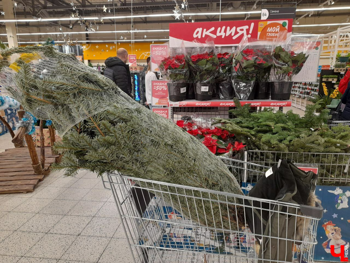 До Нового года рукой подать, а вы до сих пор не купили живую елку на праздник? Тогда сначала изучите наш материал. Мы прошлись по базару и гипермаркету во Владимире, чтобы выяснить, почем нынче колючие продают.