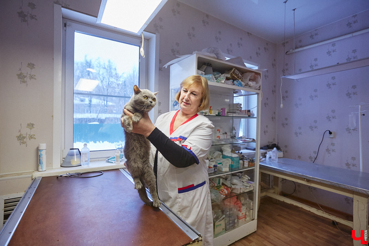 Владимирский приют для бездомных животных «Валента» на грани закрытия. Решение об этом уже принято. Однако многочисленные зоозащитники не готовы сдаваться просто так! Все подробности в нашем фоторепортаже.