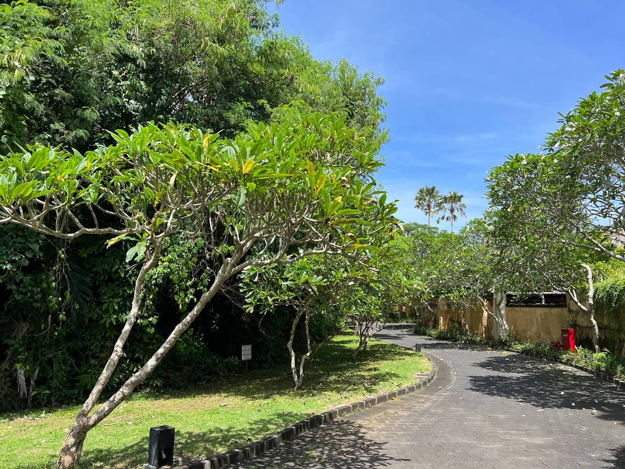 Собрать вещи и махнуть куда-нибудь подальше, в тепло. Наверное, это самое частое желание людей в такую погоду. Но лишь единицы решаются на смелый шаг. И иногда эти единицы – наши с вами соседи. Валерия Артамонова из Владимира с мужем и детьми, например, покинула областную столицу и уехала на Бали. Каково жить в минуте от океана, она рассказала нашему изданию.