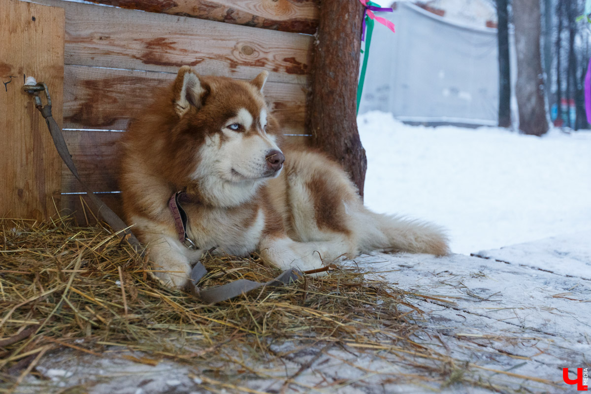 Пришло время планировать длинные новогодние каникулы. Отдыхать этой зимой будем девять дней, а значит, и попробовать можно многое. «Ключ-Медиа» собрал самые интересные способы оторваться на свежем воздухе.