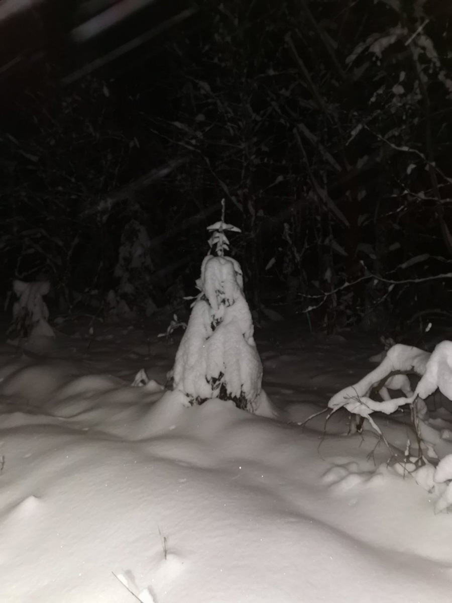 Пришло время планировать длинные новогодние каникулы. Отдыхать этой зимой будем девять дней, а значит, и попробовать можно многое. «Ключ-Медиа» собрал самые интересные способы оторваться на свежем воздухе.