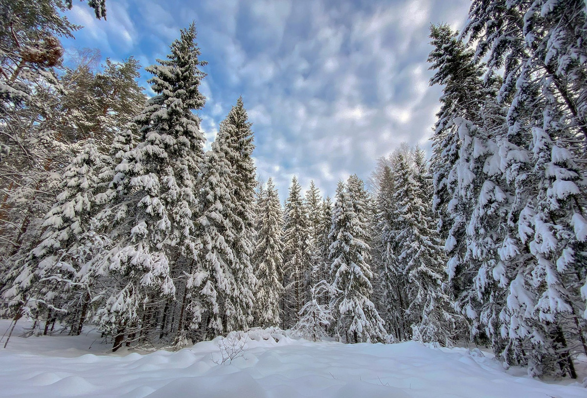 Пришло время планировать длинные новогодние каникулы. Отдыхать этой зимой будем девять дней, а значит, и попробовать можно многое. «Ключ-Медиа» собрал самые интересные способы оторваться на свежем воздухе.