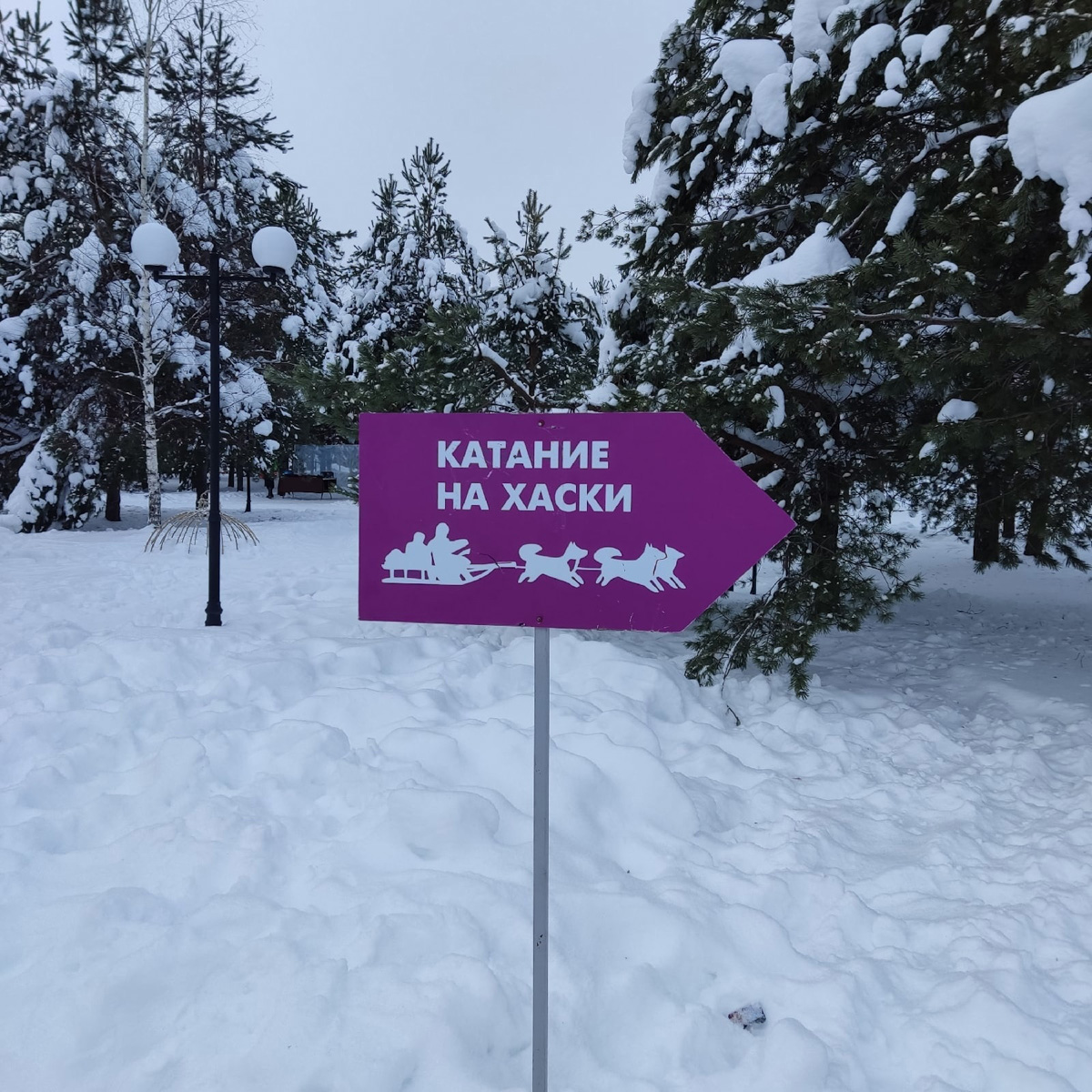Пришло время планировать длинные новогодние каникулы. Отдыхать этой зимой будем девять дней, а значит, и попробовать можно многое. «Ключ-Медиа» собрал самые интересные способы оторваться на свежем воздухе.