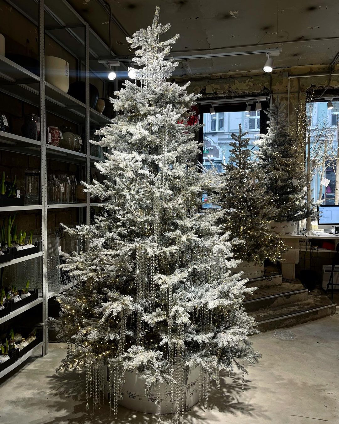 Вы знаете, сколько может стоить новогодняя елка для частного дома? Два миллиона – далеко не предел. Роскошные деревья продаются в одном из самых популярных цветочных магазинов Москвы. В этом году своей «фишкой» они сделали украшения из подвесок для люстр, созданных в Гусь-Хрустальном.