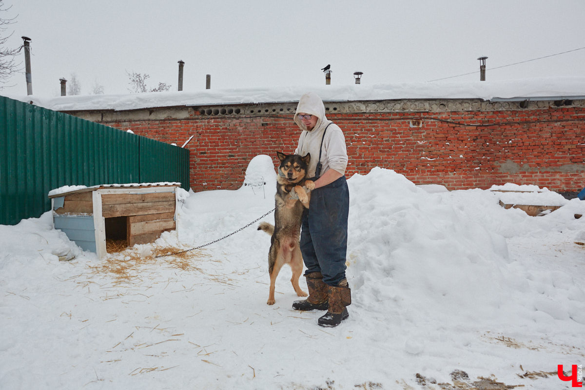 Что будет с бездомными животными из центра «Валента», который хотят закрыть, – вопрос актуальный. К спасению четвероногих подключился и Областной департамент ветеринарии. Собак и кошек предлагают устроить в государственный приют. Но есть одно но… его еще не построили.