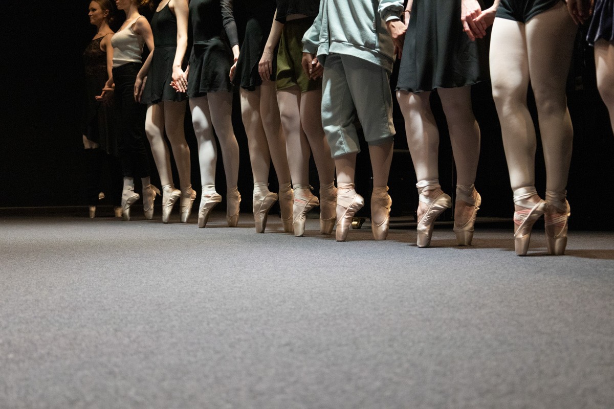 Пятнадцатого января не только на сцене, но и в воздухе концертной площадки ART HALL воцарится сказка. Зимнее шоу «Снежная королева» готовится удивить зрителей. Юные воспитанницы школы воздушной гимнастики Aerial ballerinas и приобщившиеся к балету во взрослом возрасте ученицы школы «Матильда» объединились, чтобы рассказать об этом в танце. Такого город ещё не видел!