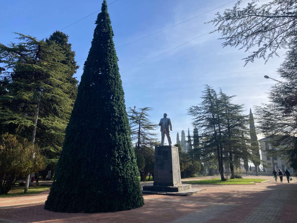 Все мы знаем, что каждый Новый год пахнет мандаринами. Эти яркие фрукты к тому же еще и символ Абхазии. Вот только туда настроение праздника практически не добирается. Почему? Об этом нам рассказала Елена Емельянова, которая переехала из Владимира на побережье Черного моря.