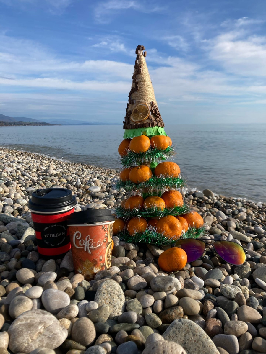 Все мы знаем, что каждый Новый год пахнет мандаринами. Эти яркие фрукты к тому же еще и символ Абхазии. Вот только туда настроение праздника практически не добирается. Почему? Об этом нам рассказала Елена Емельянова, которая переехала из Владимира на побережье Черного моря.