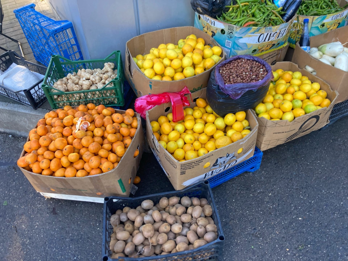 Все мы знаем, что каждый Новый год пахнет мандаринами. Эти яркие фрукты к тому же еще и символ Абхазии. Вот только туда настроение праздника практически не добирается. Почему? Об этом нам рассказала Елена Емельянова, которая переехала из Владимира на побережье Черного моря.
