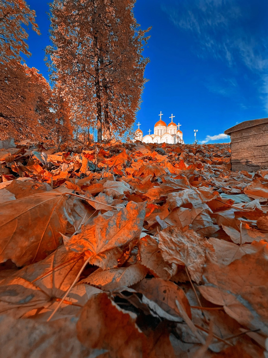 Вместо типичного прогноза погоды предлагаем сегодня подвести итоги 2022 года. В центре внимания самые редкие природные и оптические явления, а также много красивых фотографий, напоминающих о том, как это было.