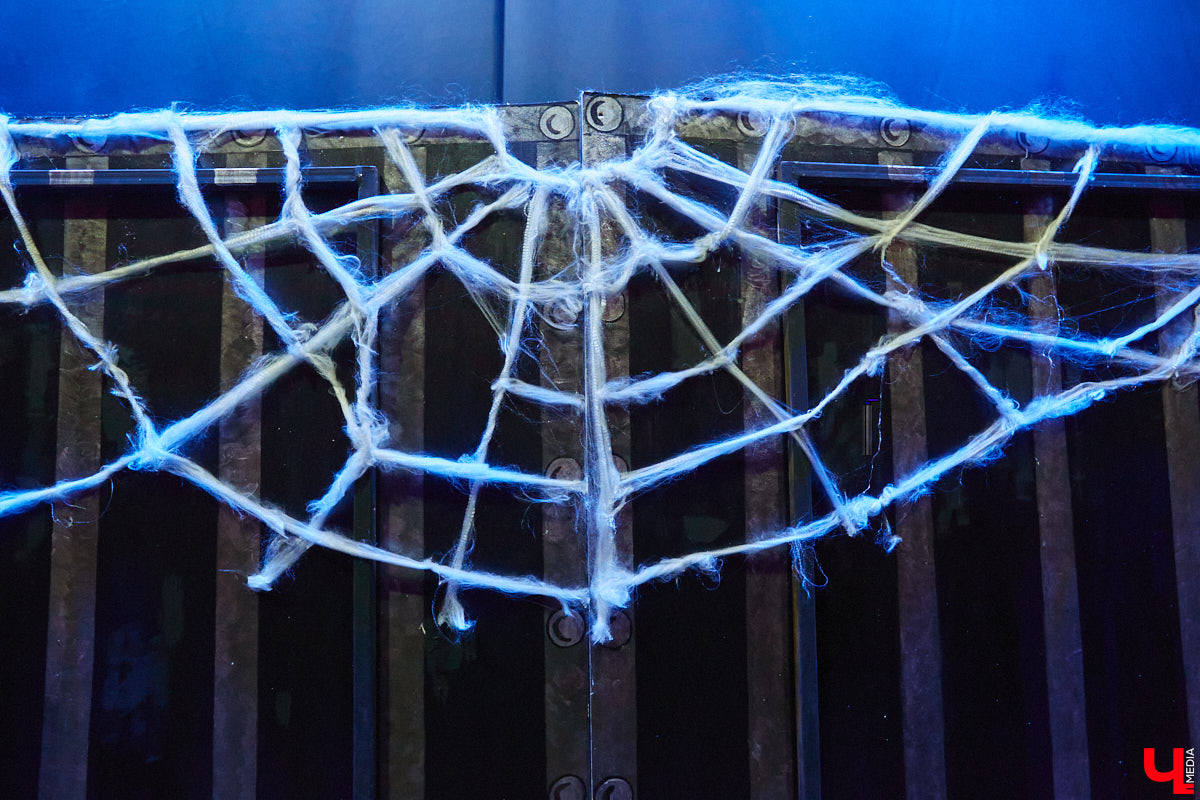 Студентам владимирского колледжа культуры на отделении театрально-декорационного искусства преподают секреты мистификации старых мастеров и современные технологии имитации материалов.