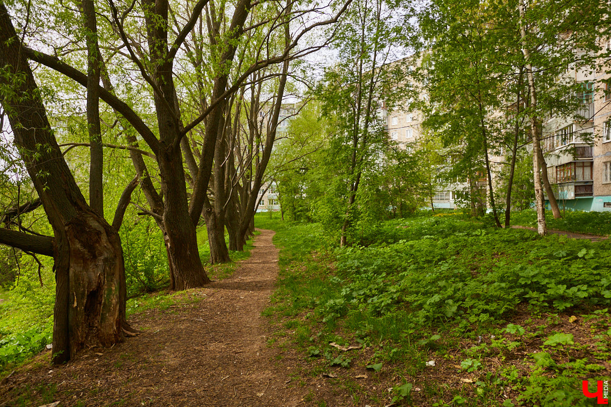 В современной застройке нашего города не так уж много интересных по форме зданий. Типовое жилищное строительство 70-80-х, смутное время 90-х, несколько кризисов 2000 годов не давали особо развернуться фантазии архитекторов. Тем не менее неповторимые объекты все же выросли среди однообразной застройки спальных районов Владимира. «Ключ-Медиа» предлагает сегодня с ними познакомиться!