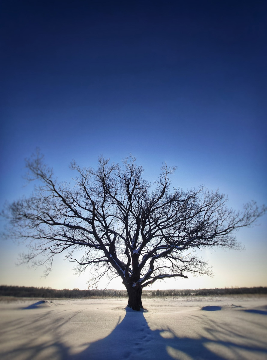 Жители Владимирской области переживают одни из самых продолжительных морозов. Уже несколько дней подряд столбики термометров уверенно держатся на рекордно низкой отметке. Чем же запомнятся нам эти холода?